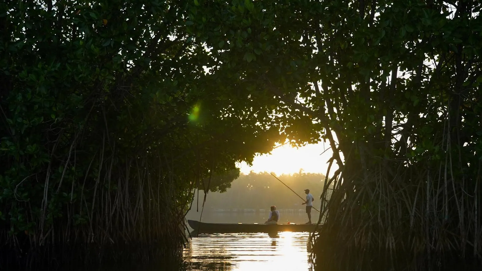 Kalloos Island Backwater Resort Kollam Indie